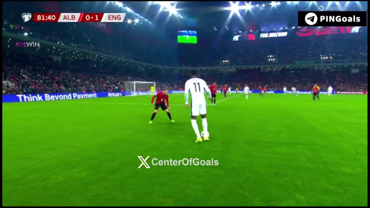 zaslepka skrotu video