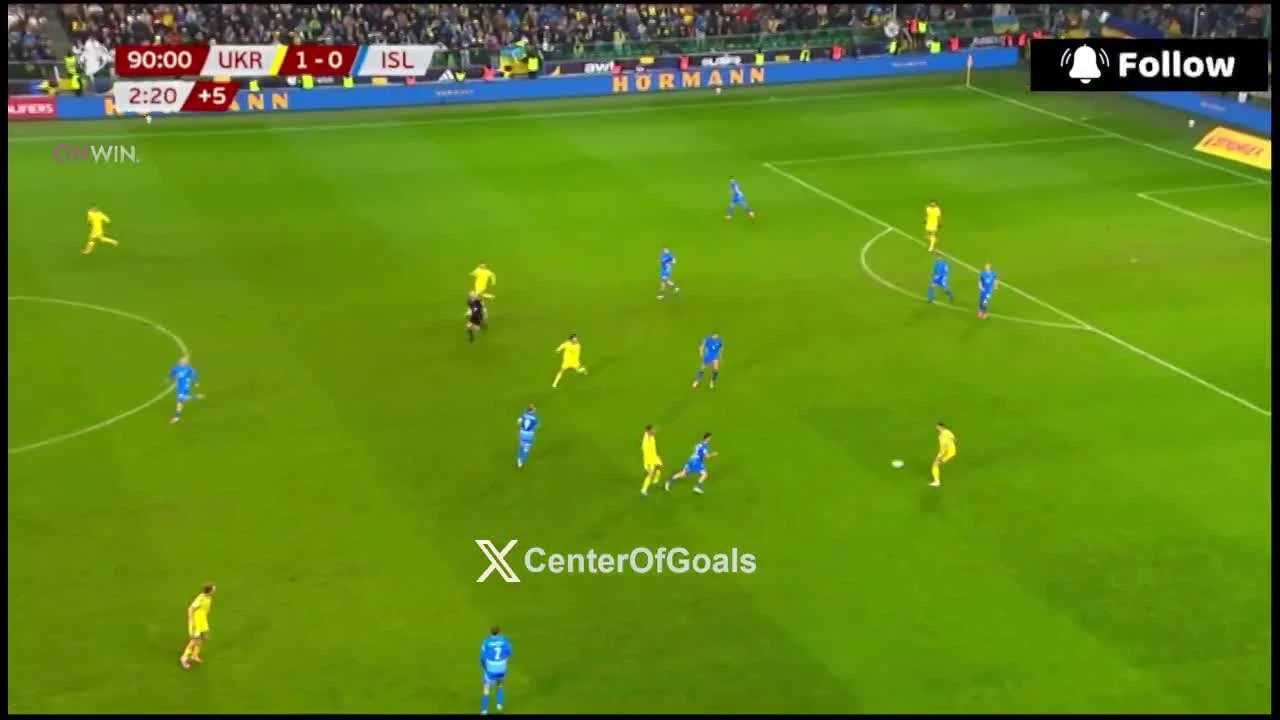 zaslepka skrotu video