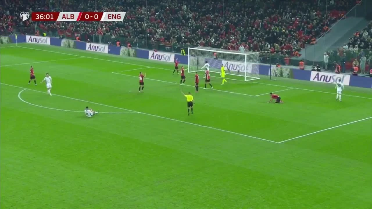 zaslepka skrotu video