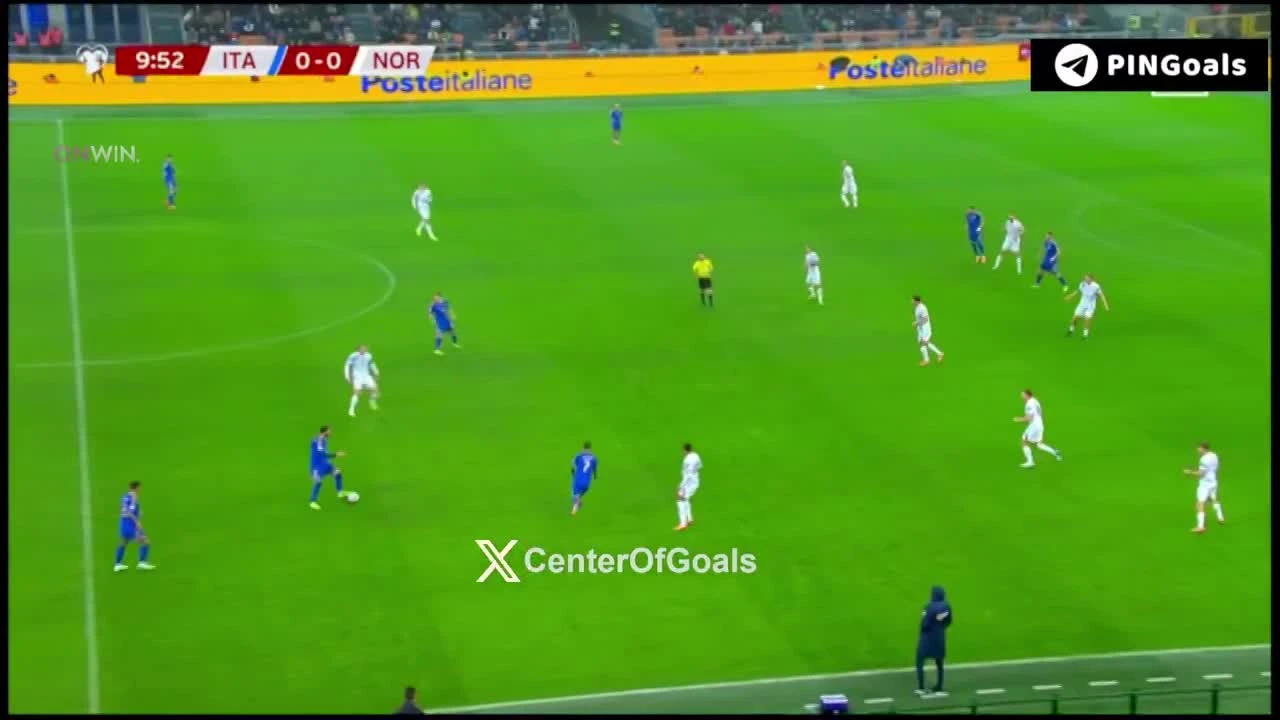 zaslepka skrotu video