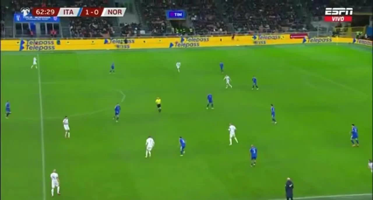 zaslepka skrotu video