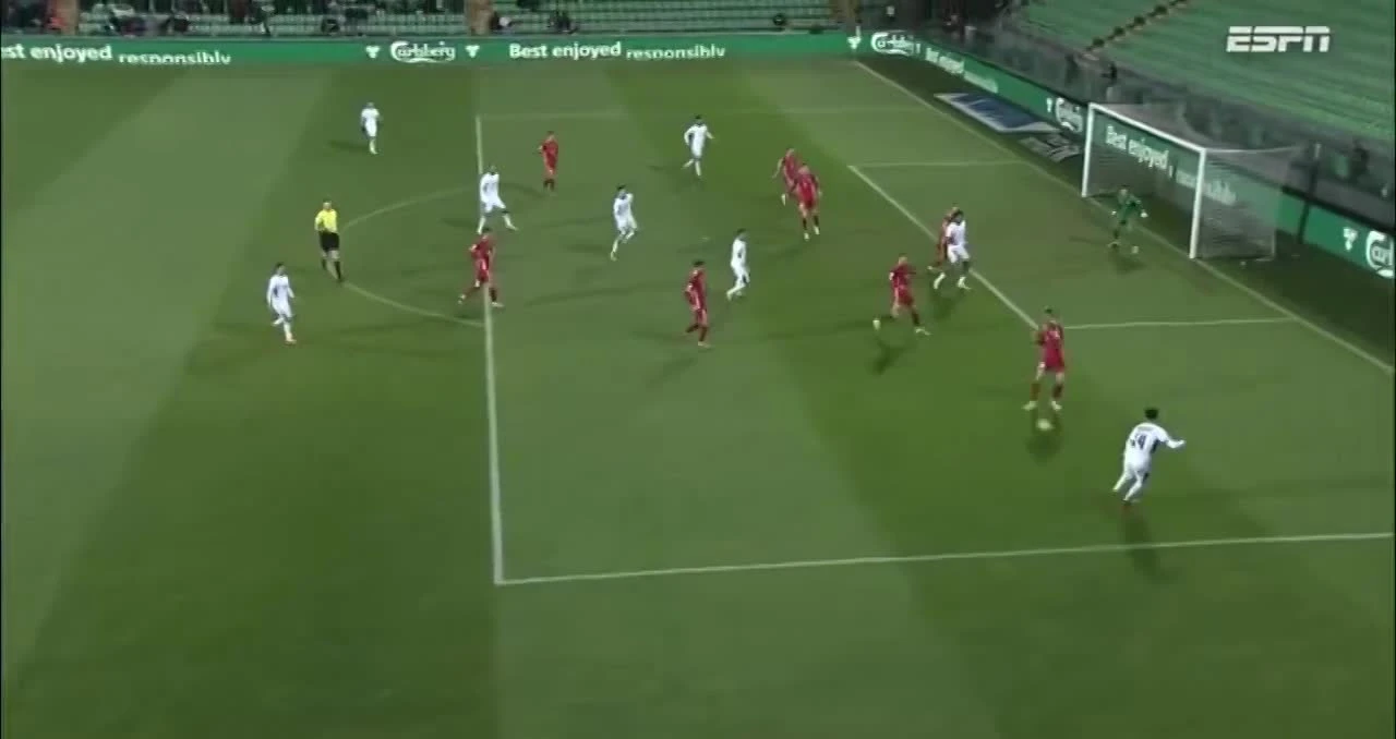 zaslepka skrotu video