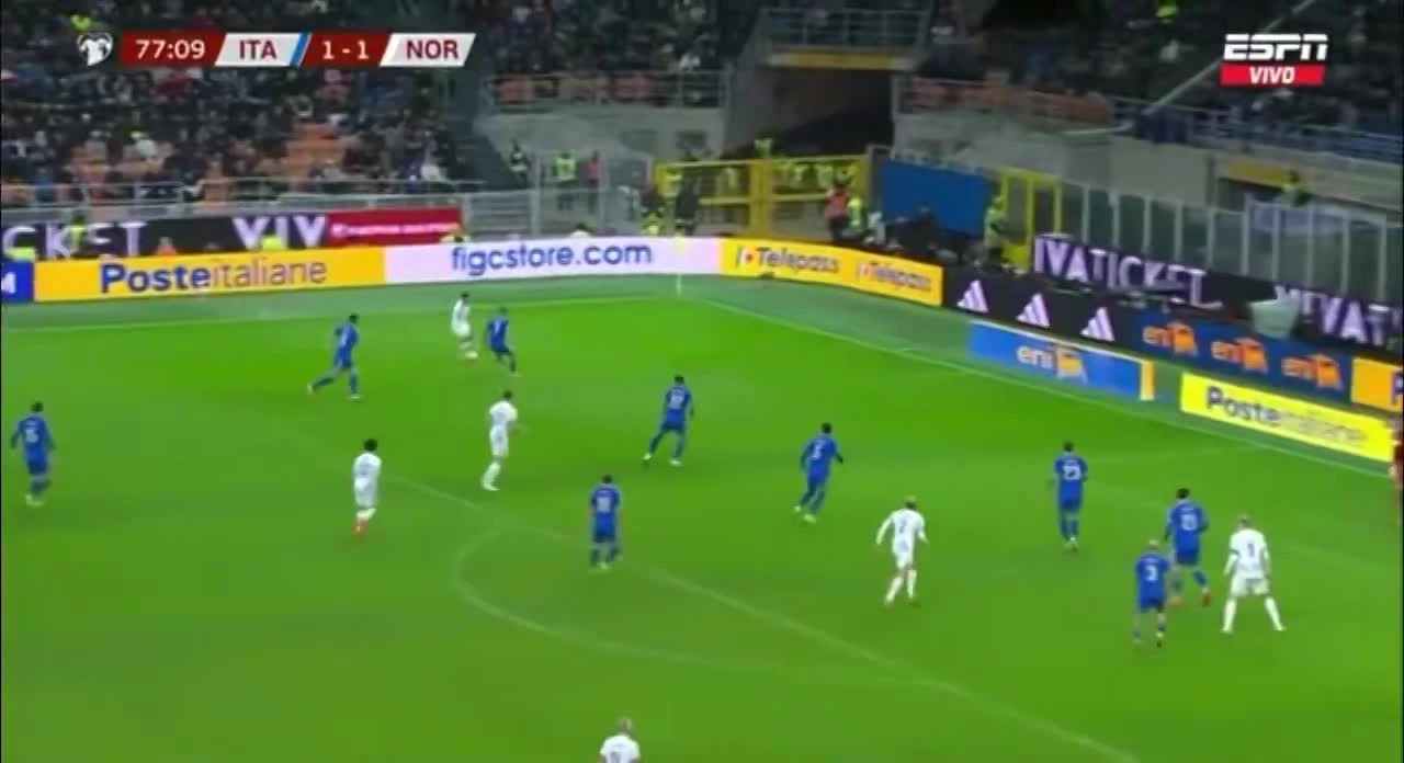 zaslepka skrotu video