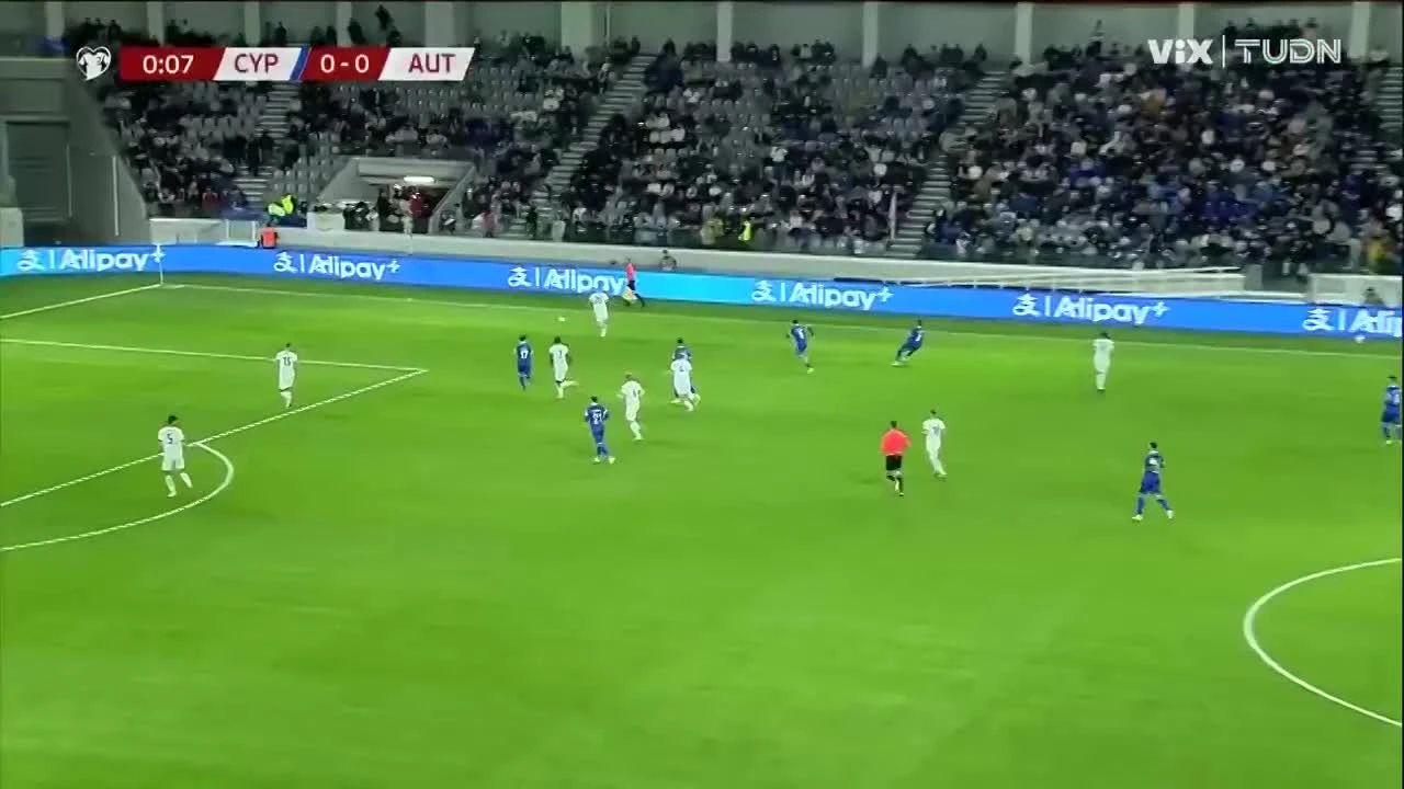 zaslepka skrotu video