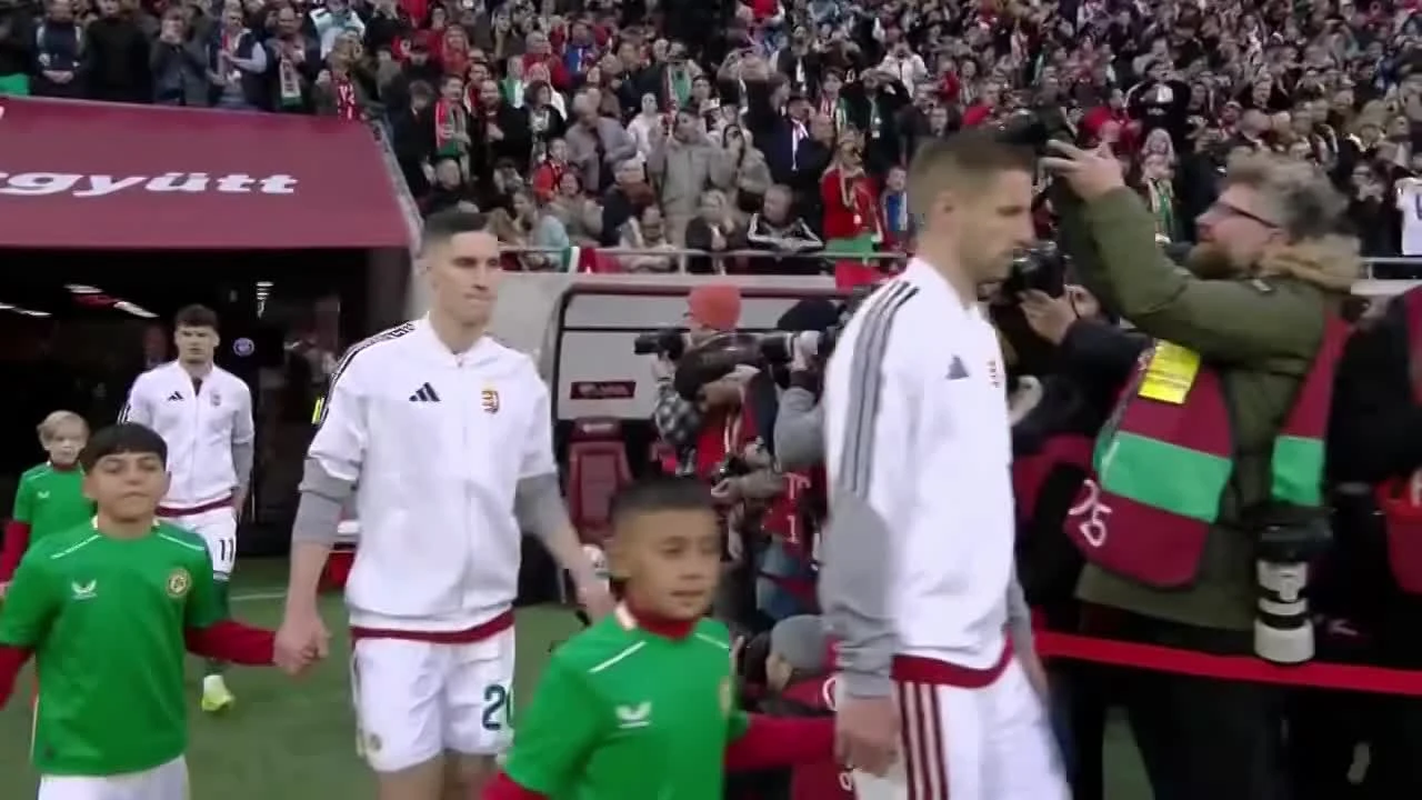 zaslepka skrotu video