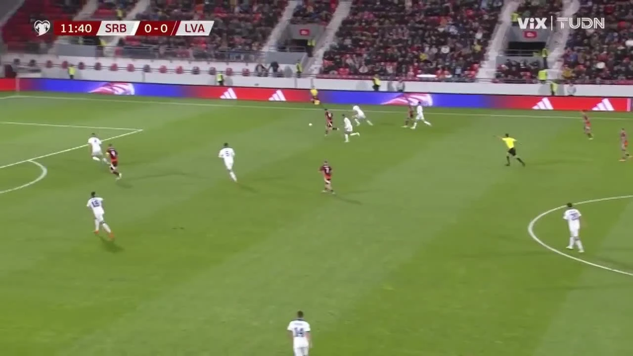 zaslepka skrotu video