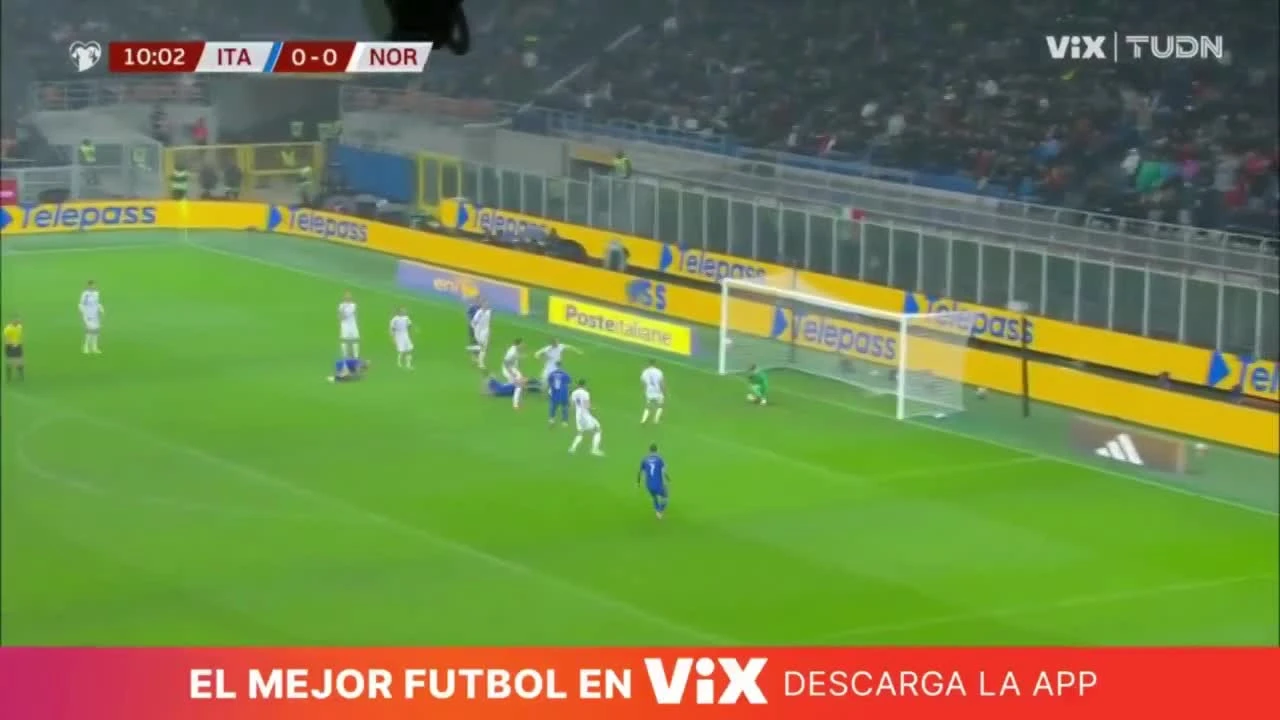 zaslepka skrotu video