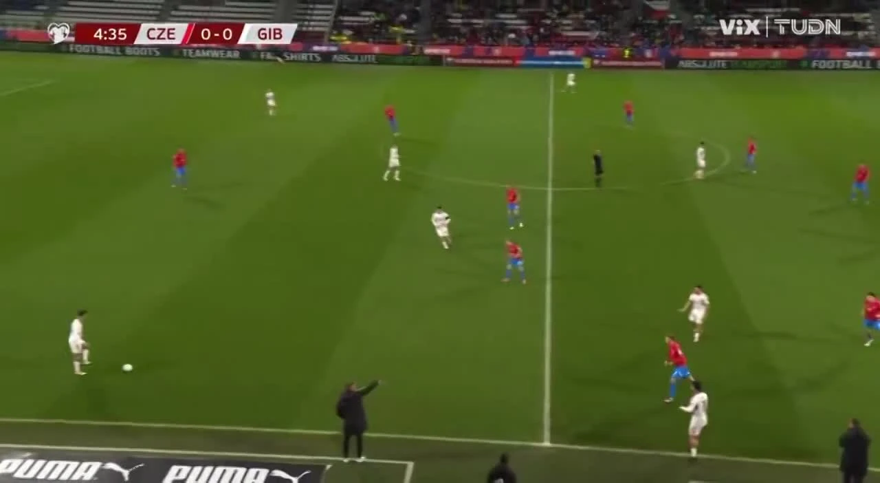 zaslepka skrotu video