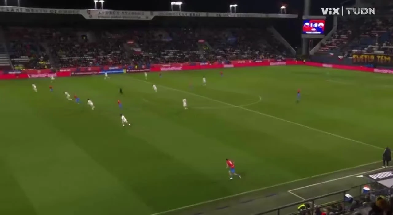 zaslepka skrotu video