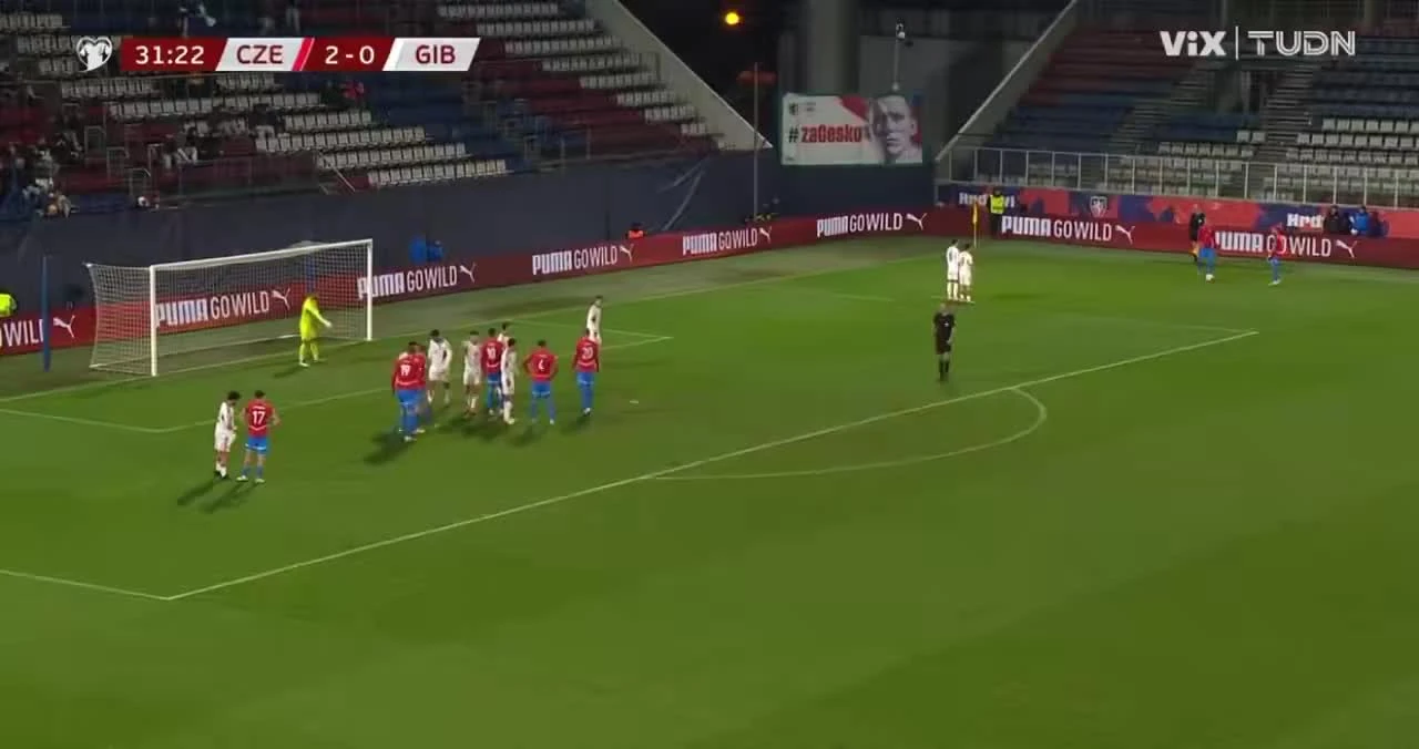 zaslepka skrotu video