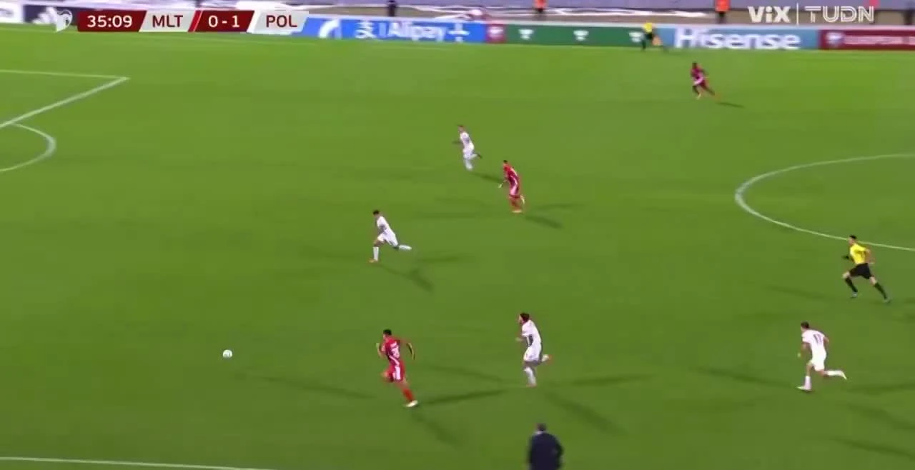 zaslepka skrotu video