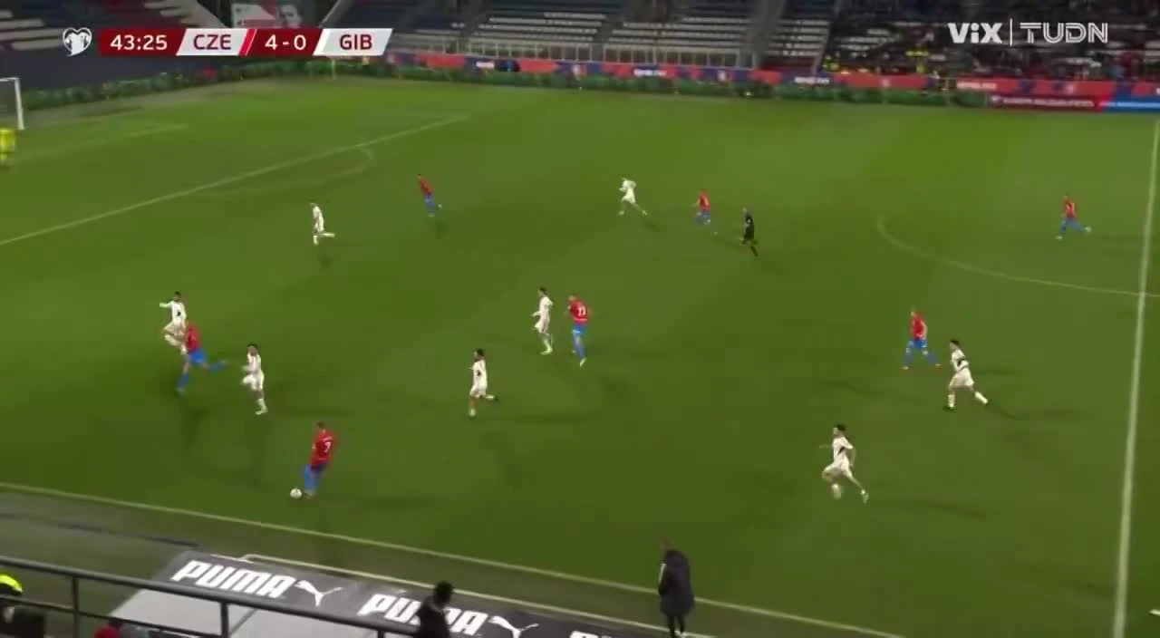 zaslepka skrotu video