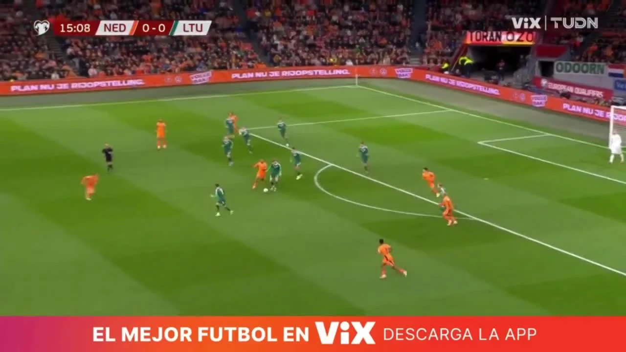 zaslepka skrotu video