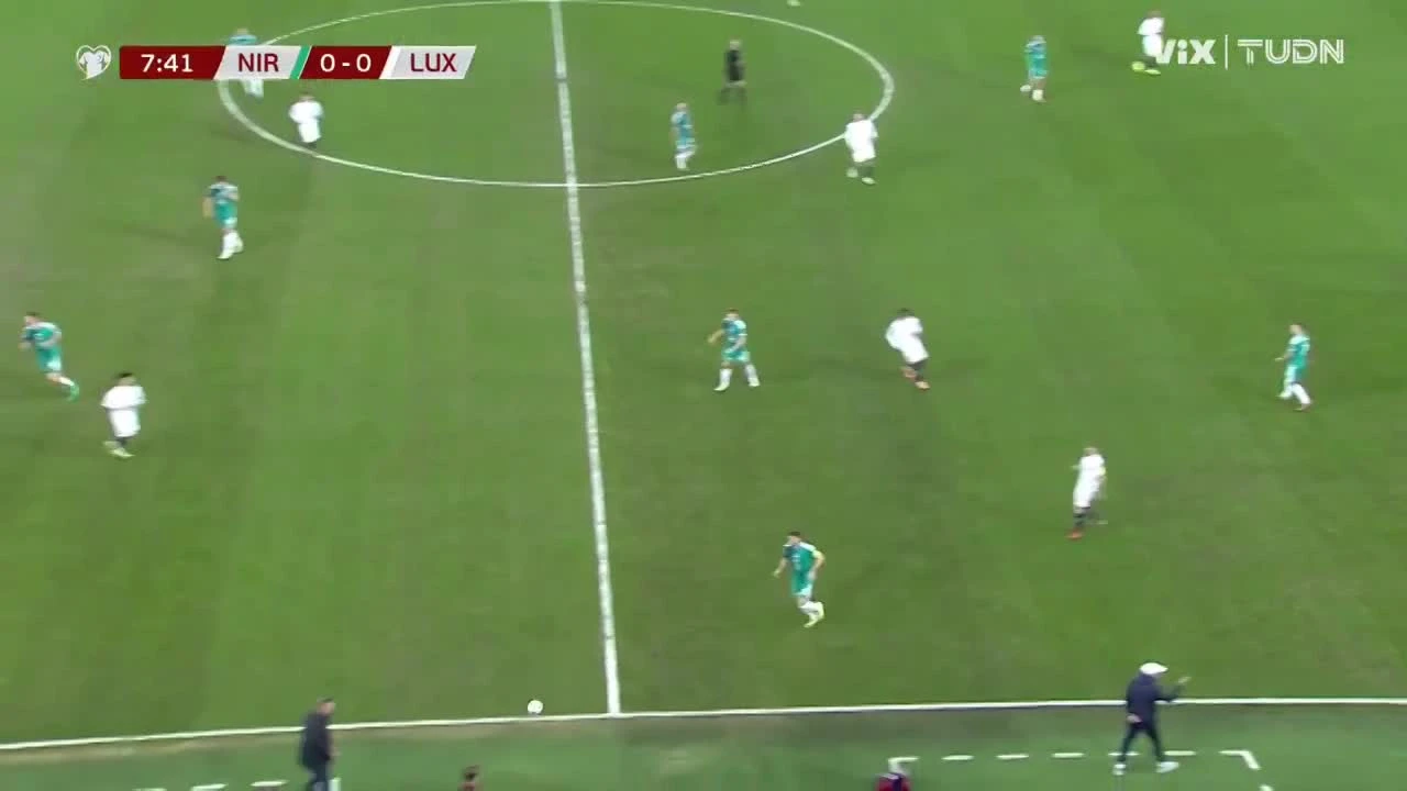 zaslepka skrotu video