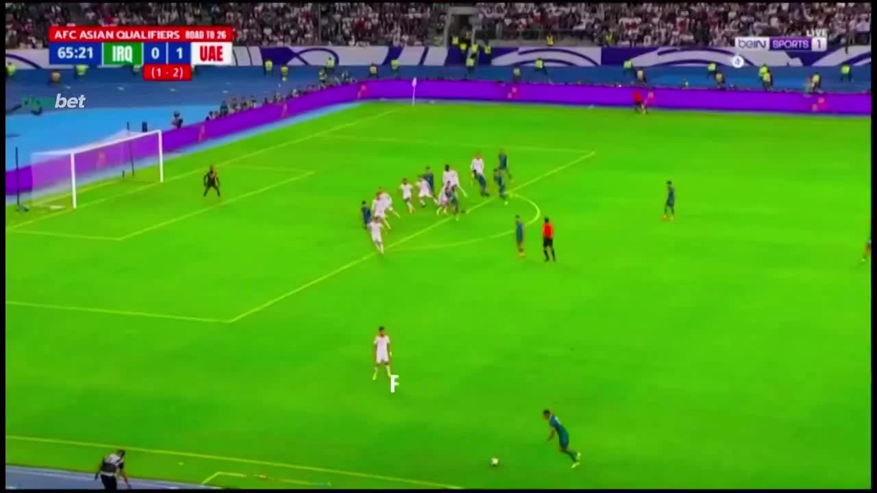 zaslepka skrotu video