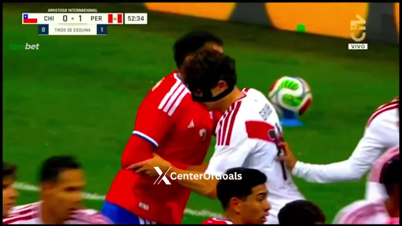 zaslepka skrotu video