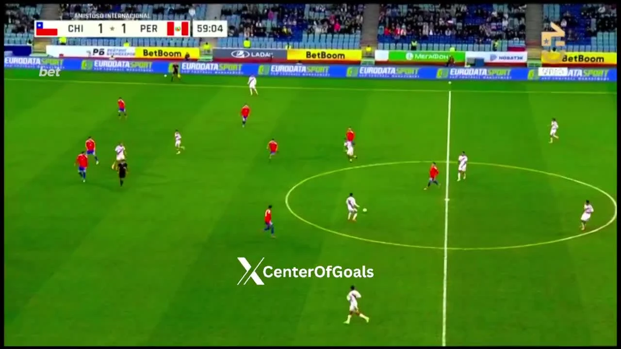 zaslepka skrotu video