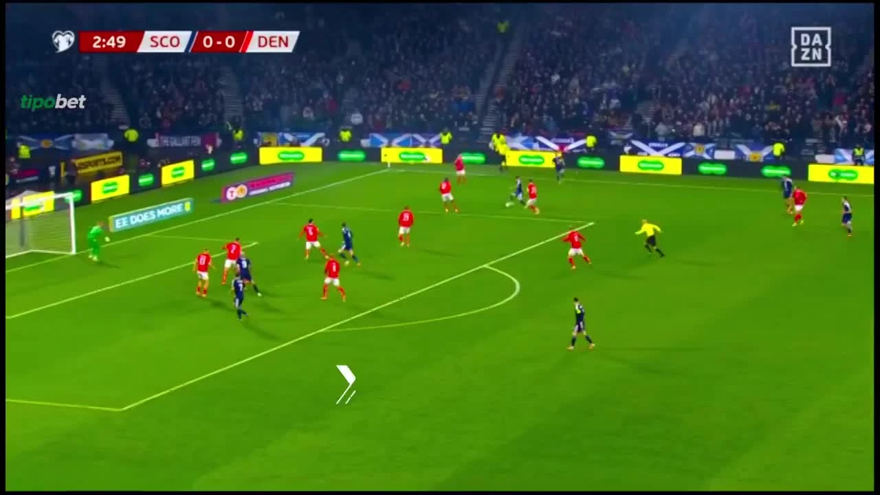 zaslepka skrotu video