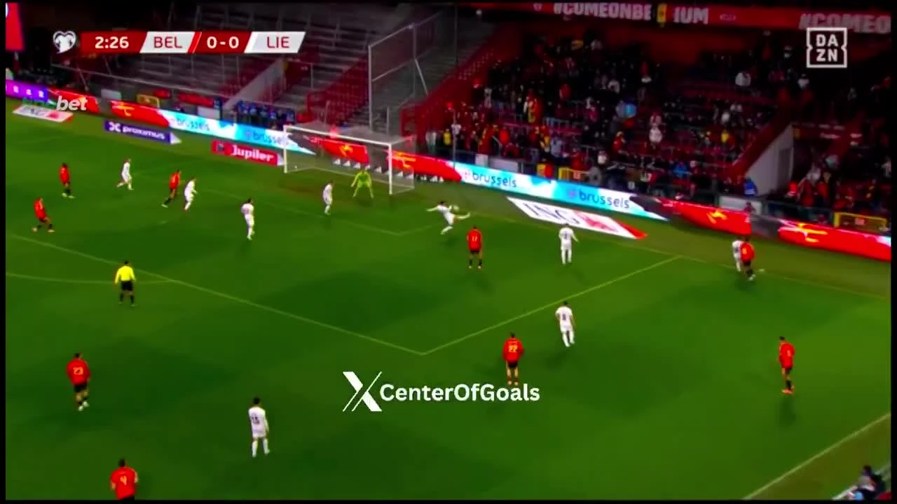 zaslepka skrotu video