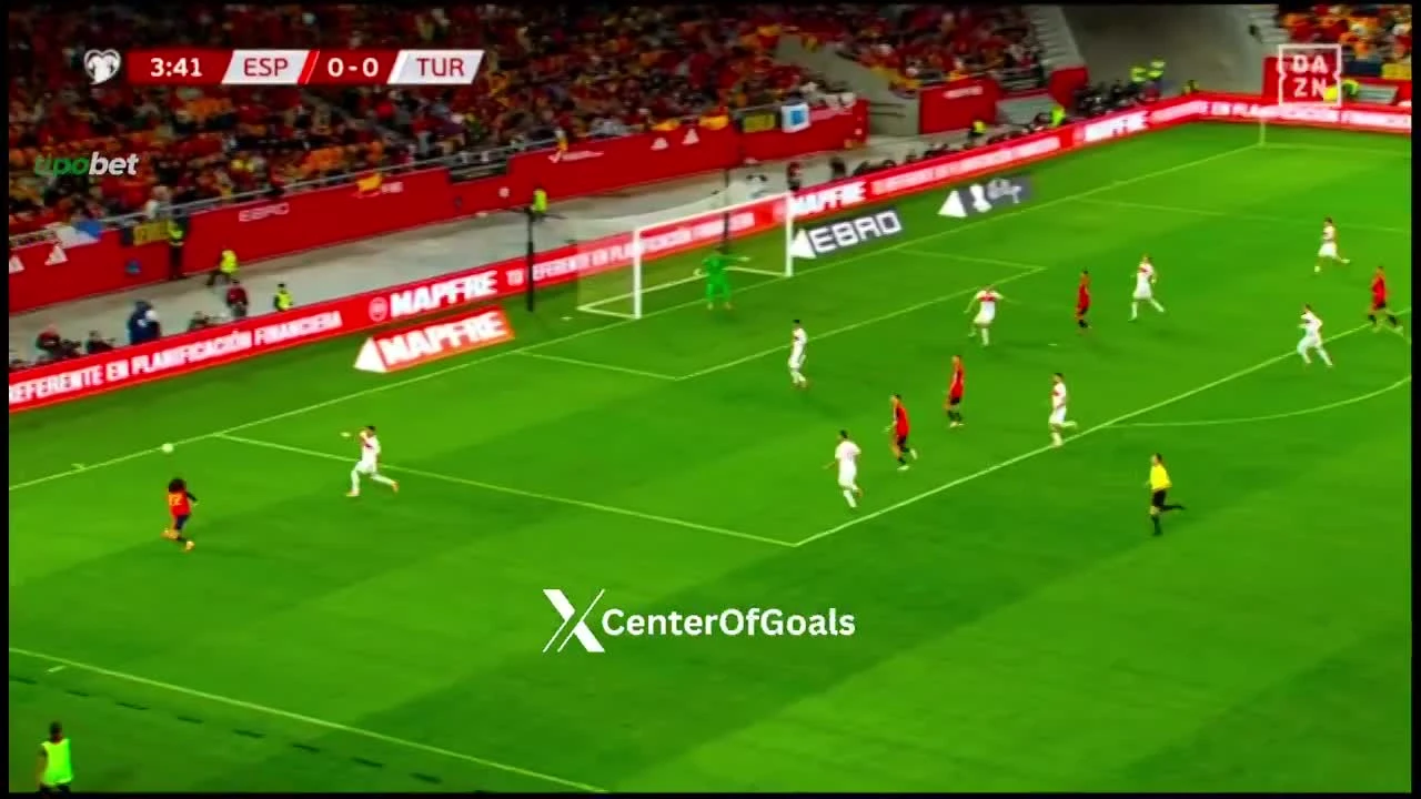 zaslepka skrotu video