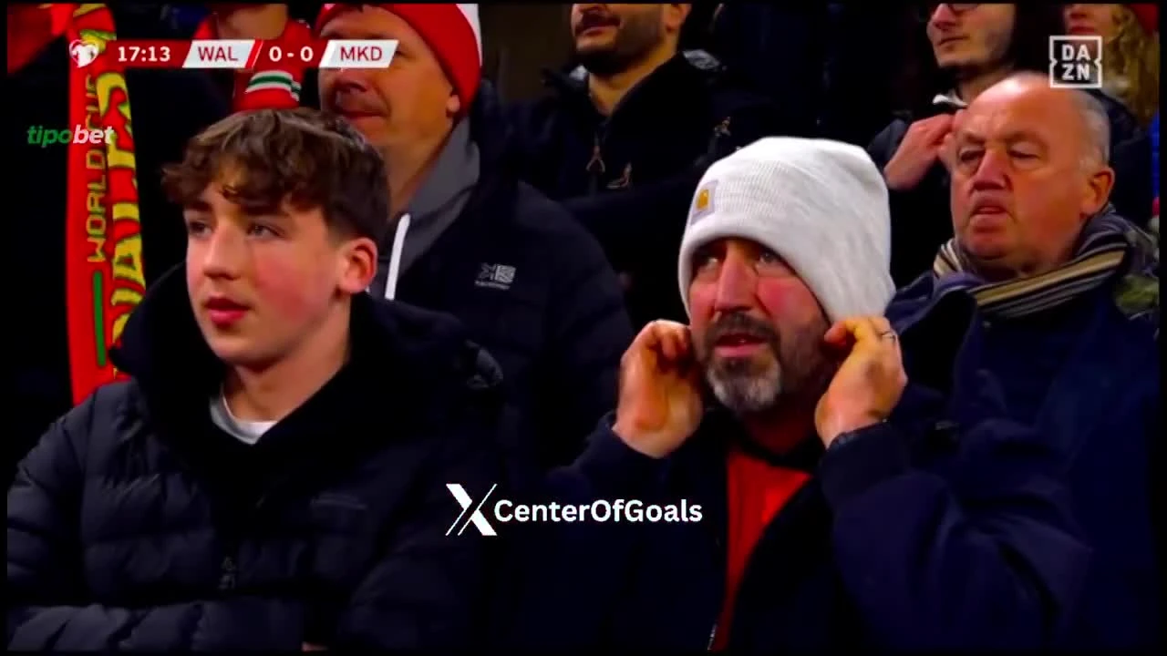 zaslepka skrotu video