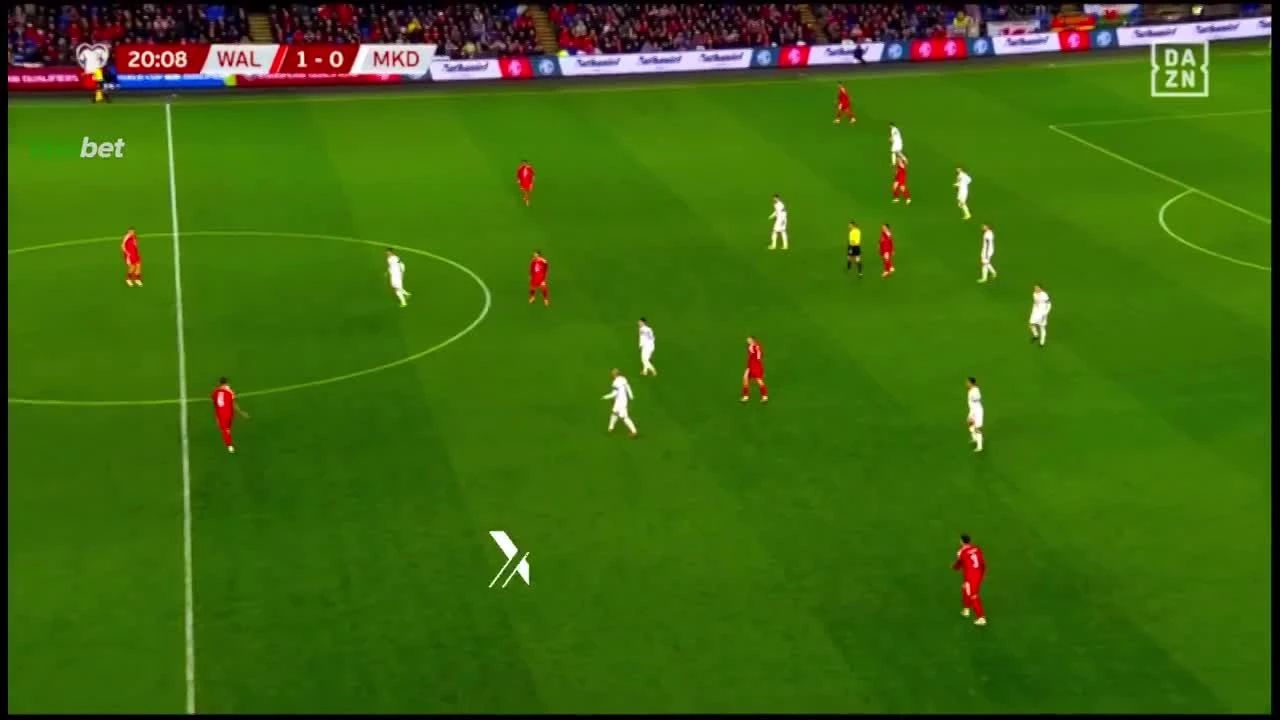 zaslepka skrotu video