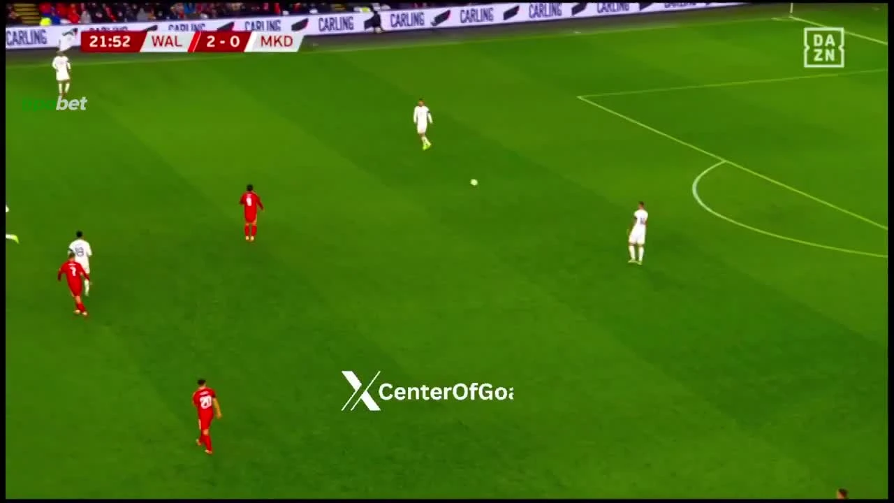 zaslepka skrotu video