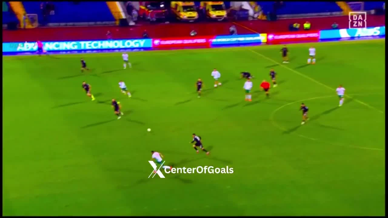 zaslepka skrotu video