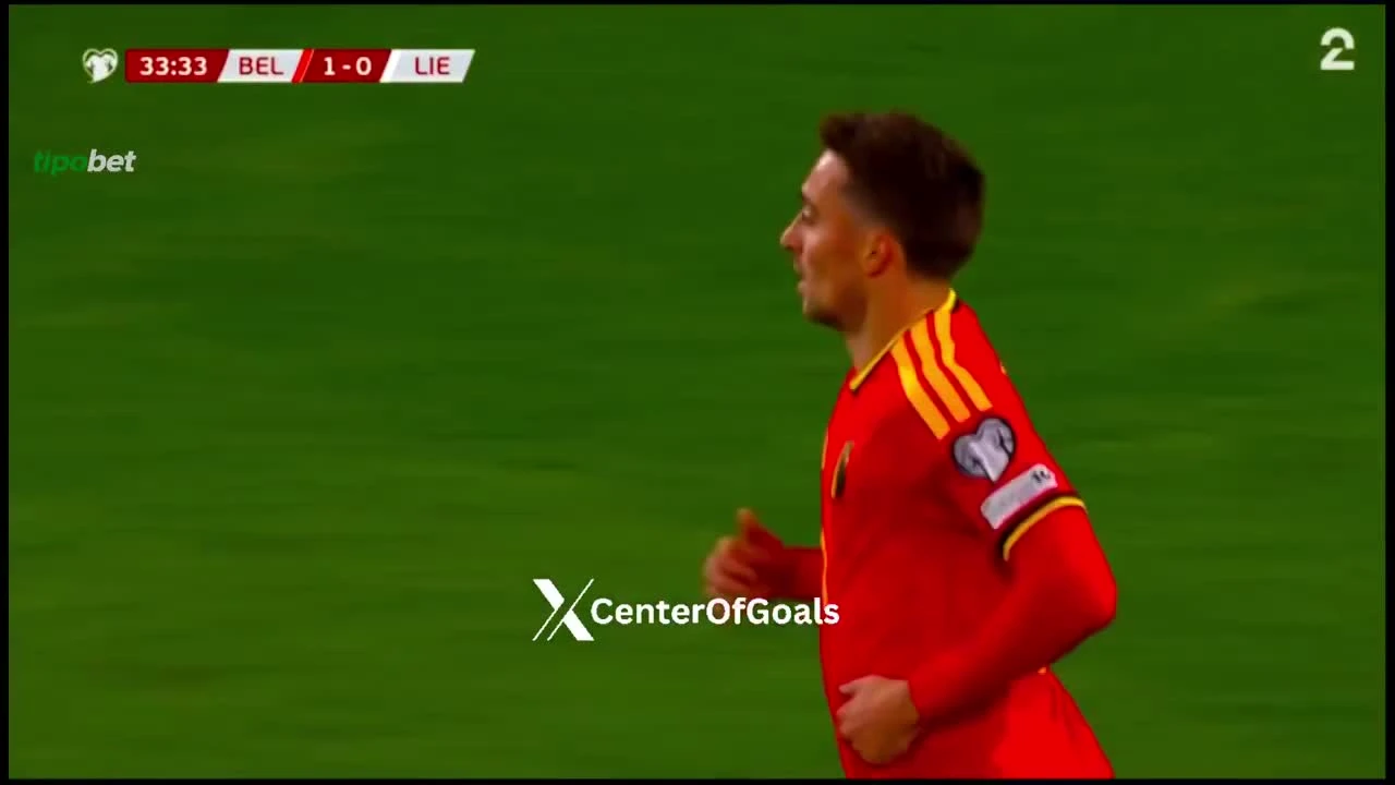 zaslepka skrotu video