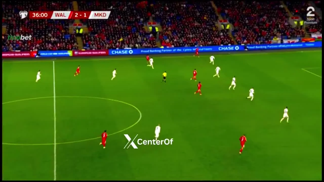 zaslepka skrotu video