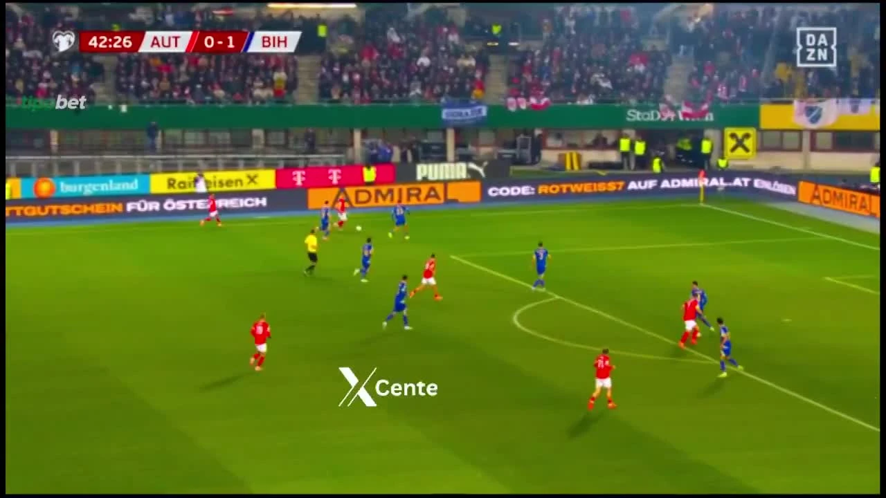 zaslepka skrotu video