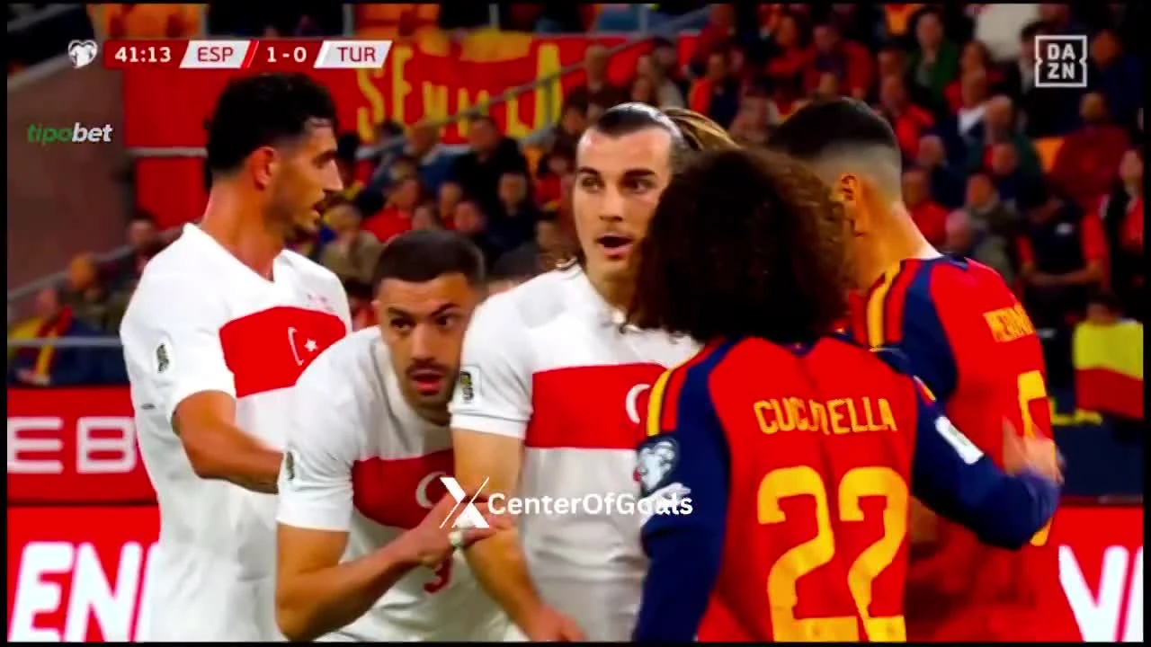 zaslepka skrotu video