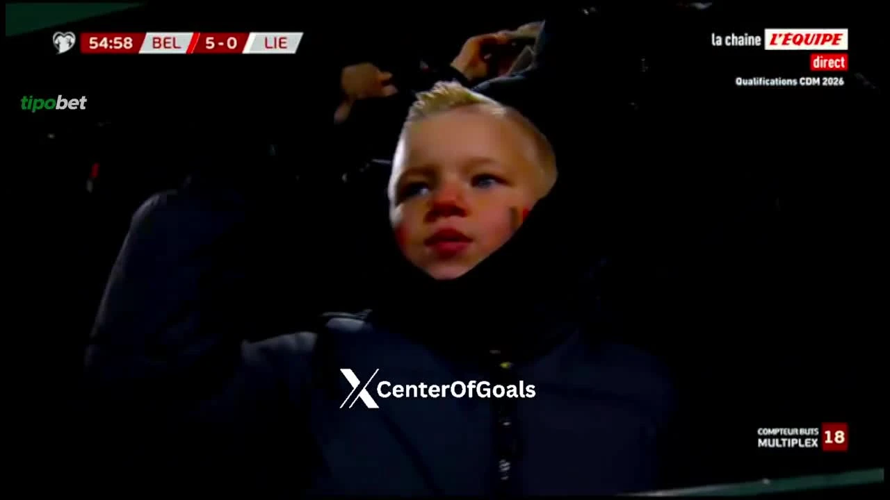 zaslepka skrotu video