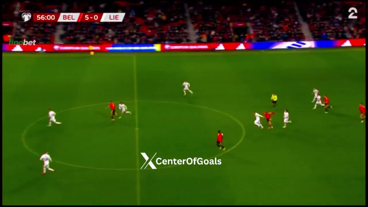 zaslepka skrotu video