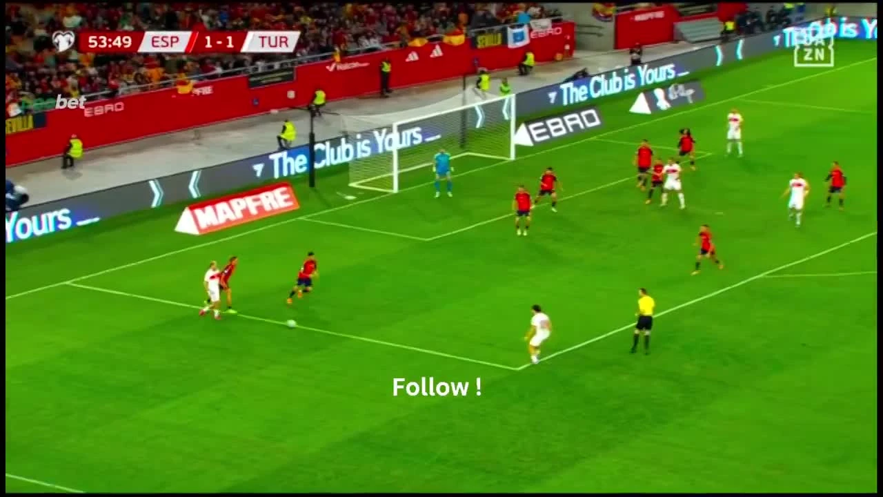 zaslepka skrotu video