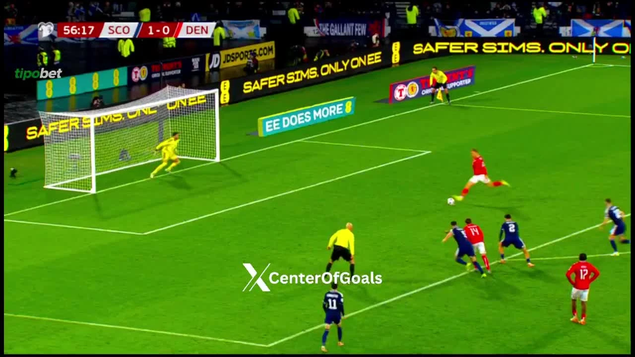 zaslepka skrotu video