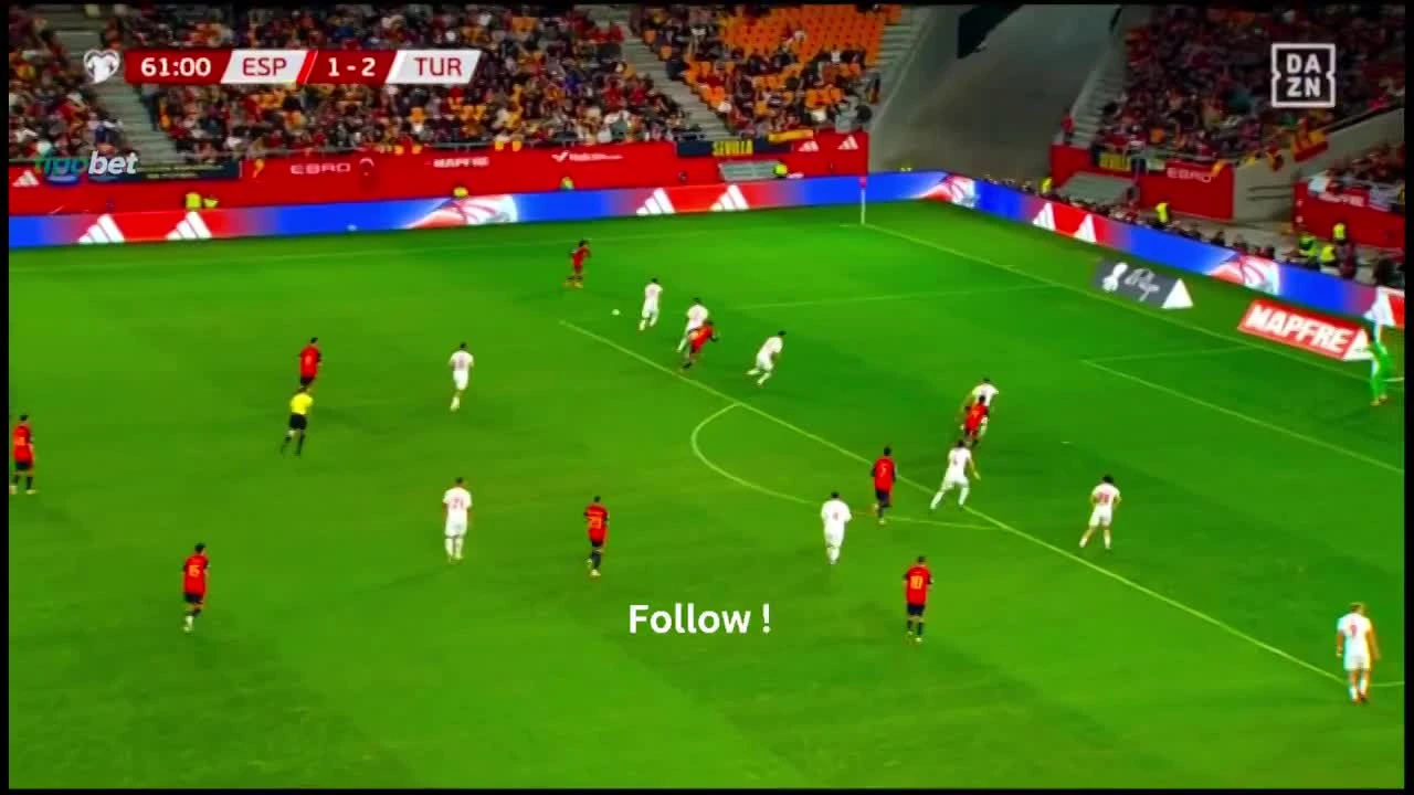 zaslepka skrotu video