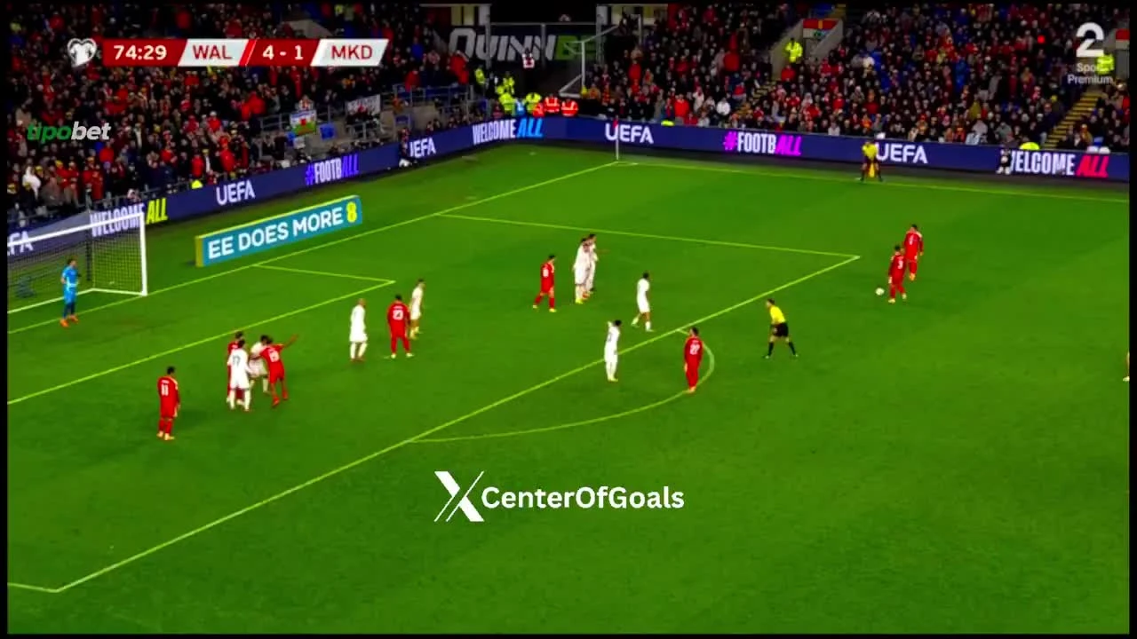 zaslepka skrotu video