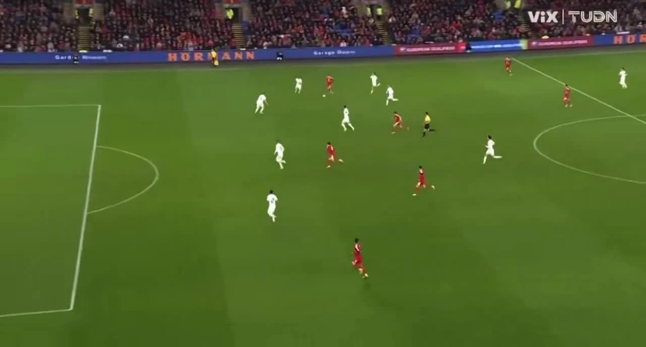 zaslepka skrotu video