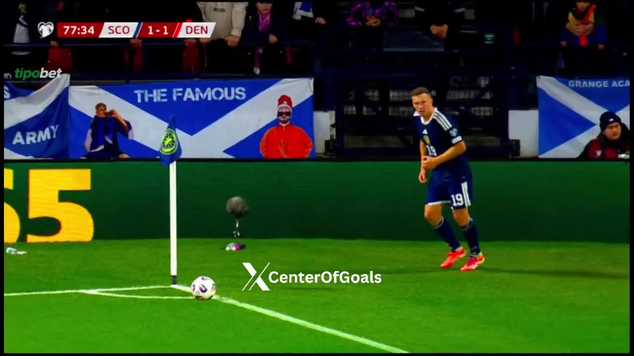 zaslepka skrotu video