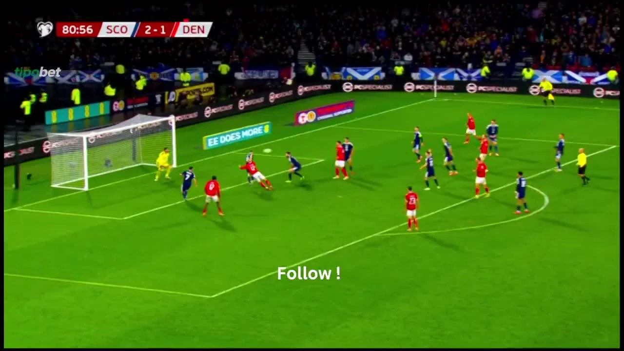 zaslepka skrotu video