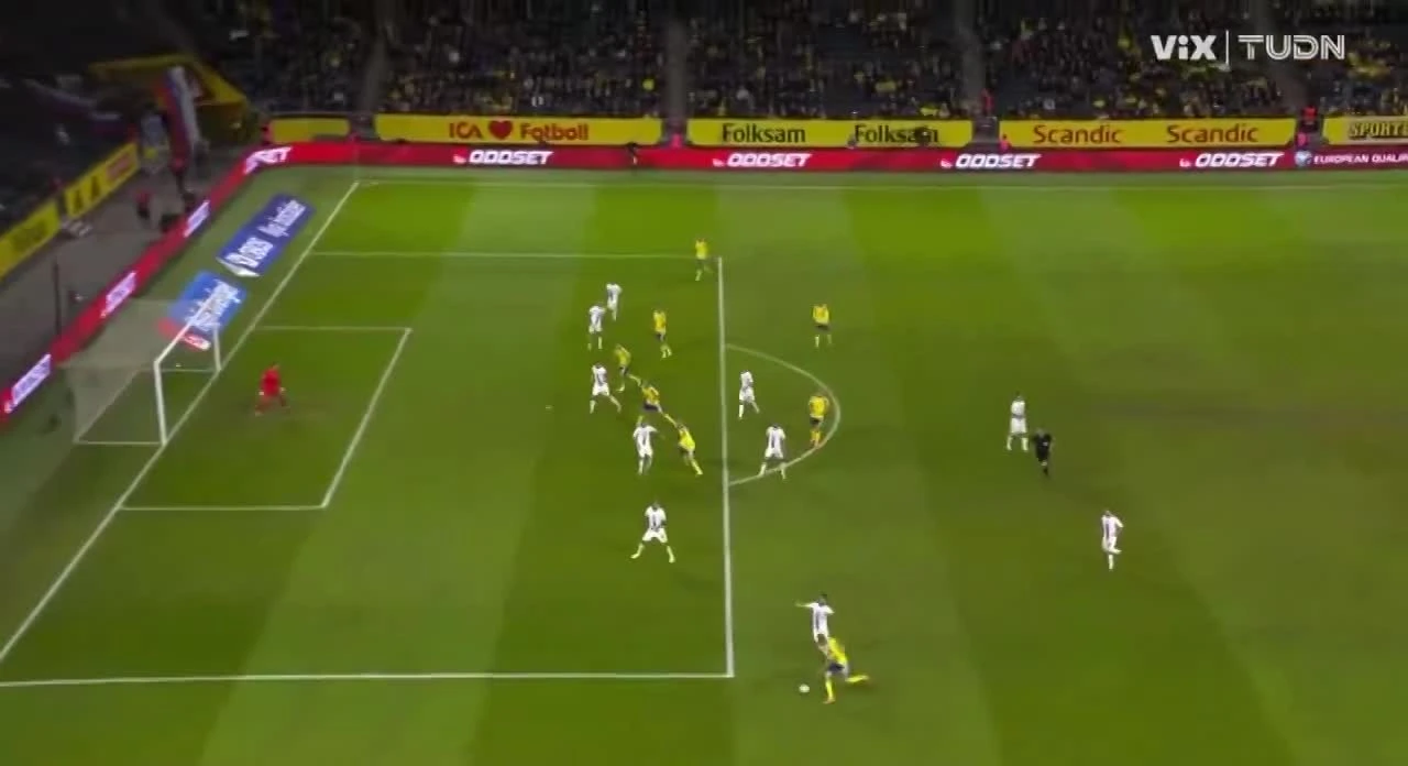 zaslepka skrotu video