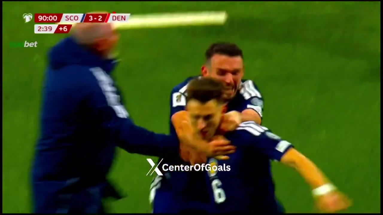 zaslepka skrotu video