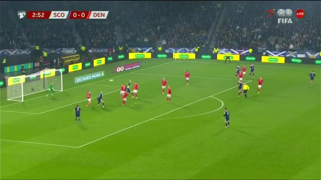 zaslepka skrotu video