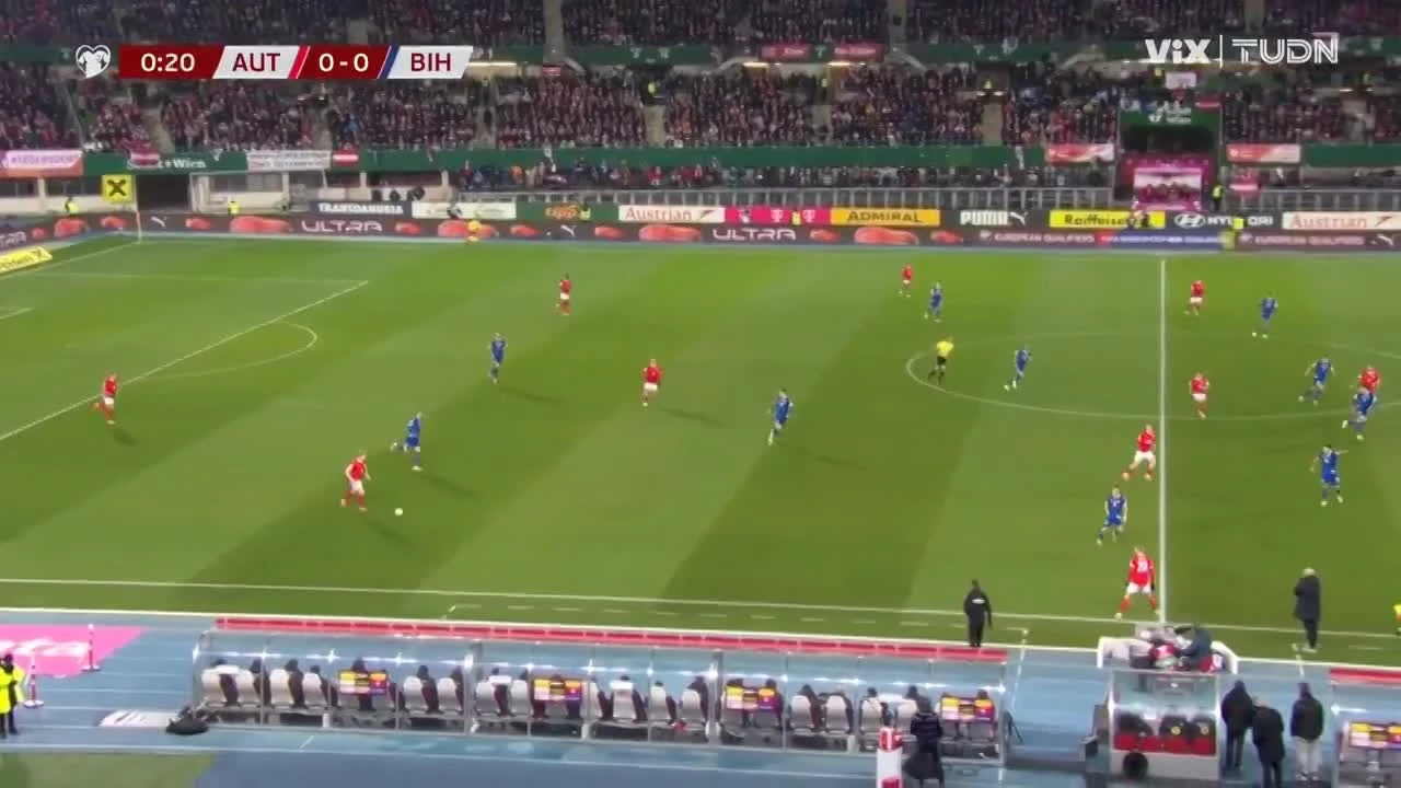 zaslepka skrotu video