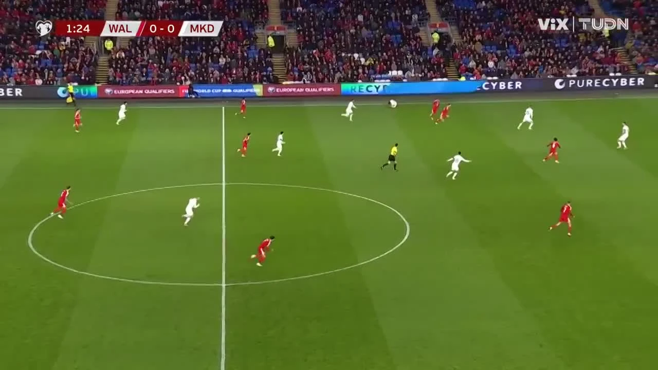 zaslepka skrotu video