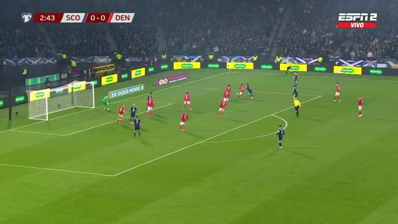 zaslepka skrotu video