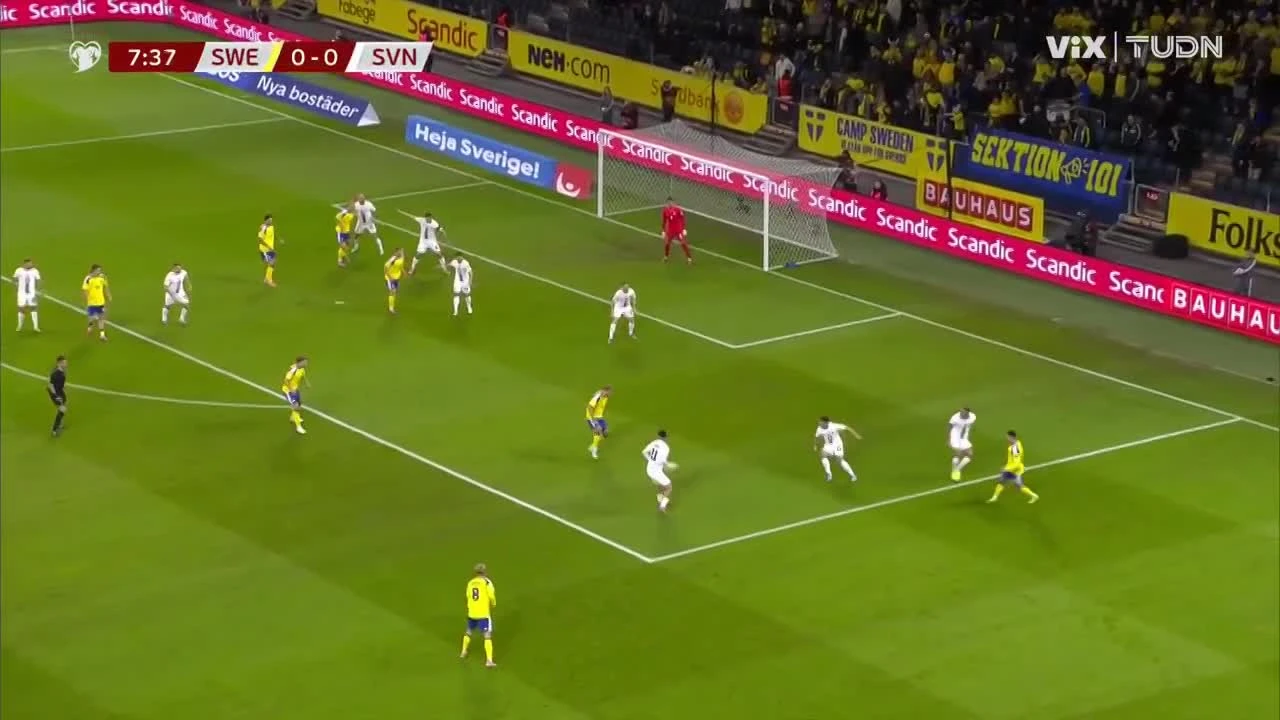 zaslepka skrotu video