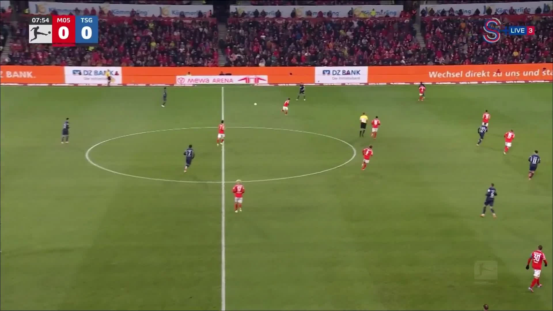 zaslepka skrotu video