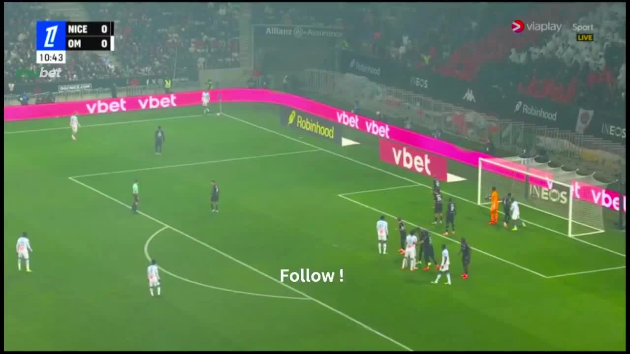 zaslepka skrotu video